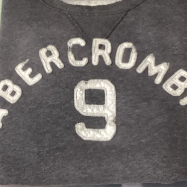 Abercrombie & Fitch muscle sweatshirt. Small. Retails $80 - Image 8