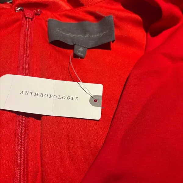 Anthropologie Sunday In Brooklyn Red Short Sleeve Babydoll Blouse Size M - Image 5