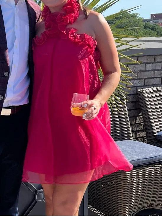 Lovers + Friends Capri Mini Dress Size S Hot Pink Halter Babydoll Organza Party - Image 3