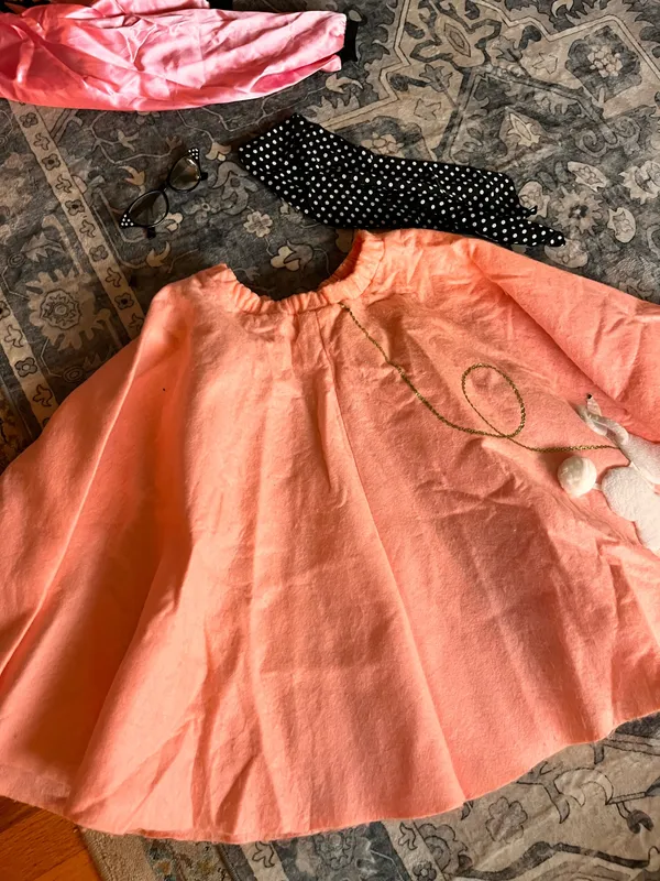 Handmade Pink poodle skirt Halloween costume - Image 5