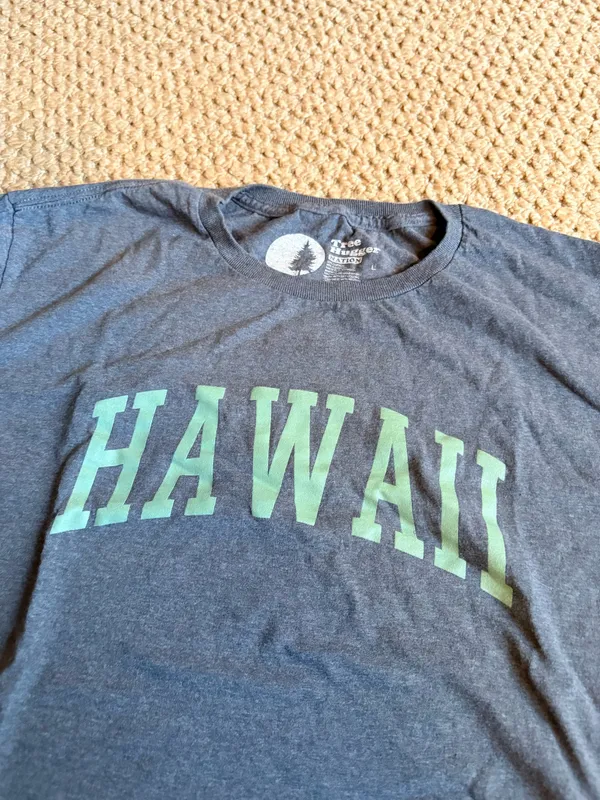 hawaii cropped tee Gray Size L - Image 3