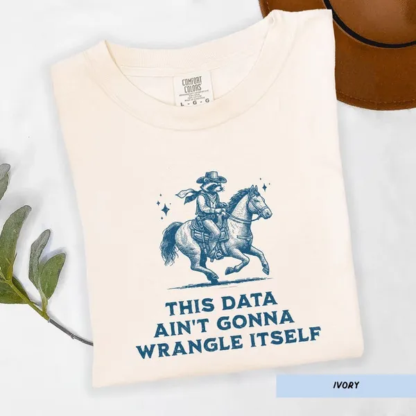 Data Wrangler Cotton Comfort Colors Tee - Image 3
