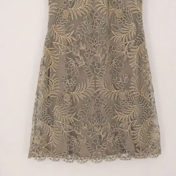 Tadashi Shoji Lace Illusion Cocktail Dress Size‎ 6 Taupe Gold Wedding Guest Lux - Image 3