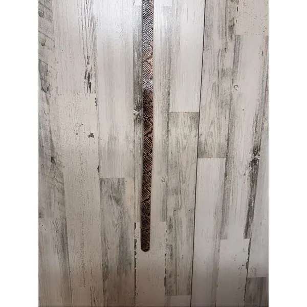 Snake Print Faux Leather Belt Tan Brown Silver Buckle Women’s M/L Adjustable - Image 3