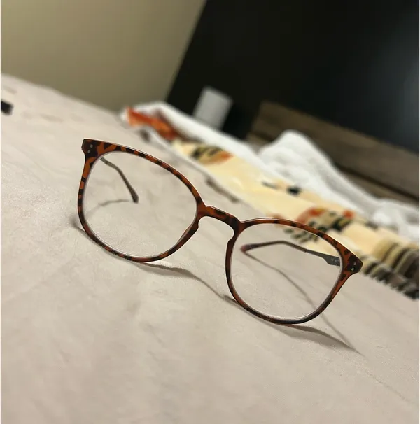 Tortoise Shell Eyeglasses Brown - Image 2