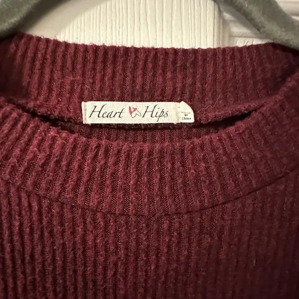Heart‎ Hips Burgundy Mini Dress - Image 3