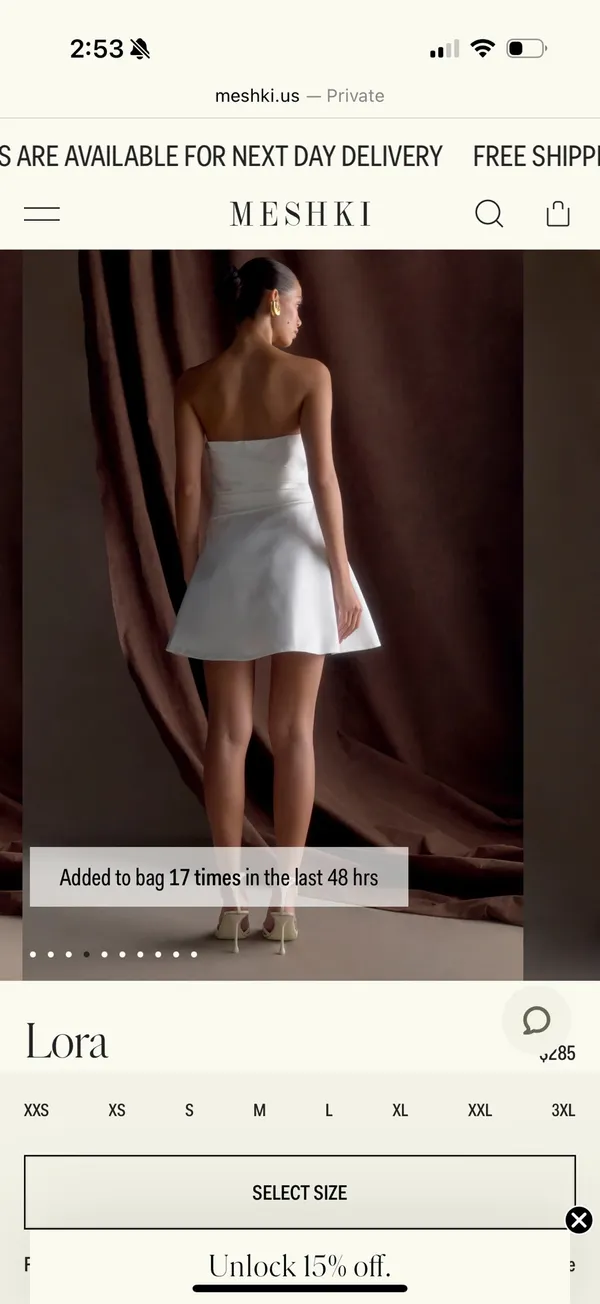 Meshki Mini Dress - Image 3