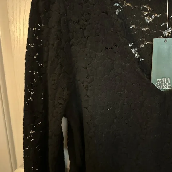Wild Fable Black Lace Skater style Dress - Image 4