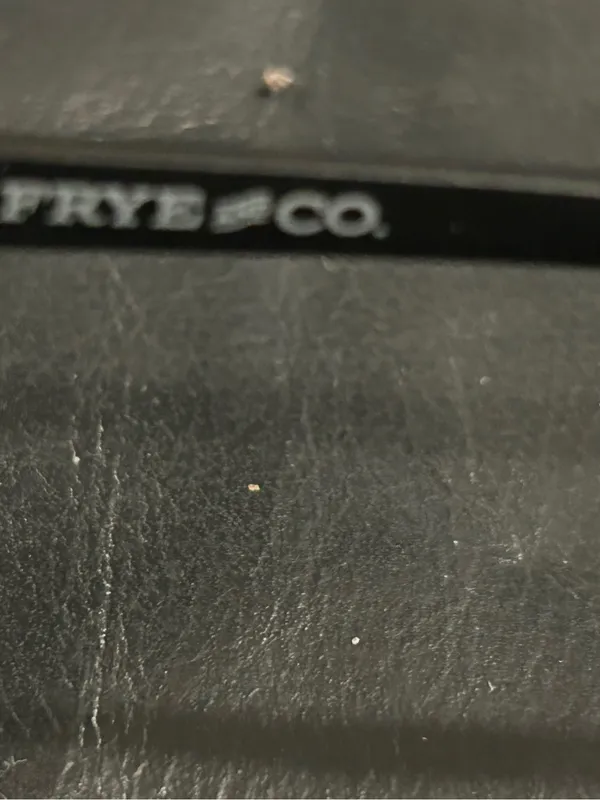 FRYE AND CO. Black Cat-Eye Sunglasses with Smoke Lenses - Image 6