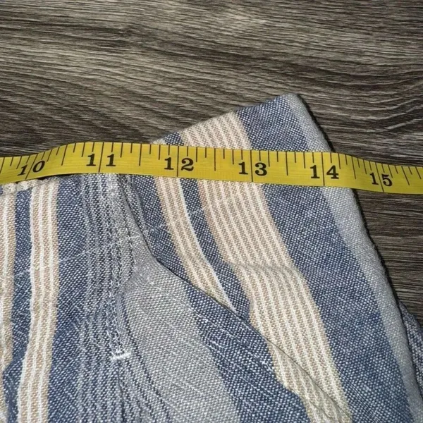 Indigo Rein Striped Short Color Blue Size Medium - Image 3