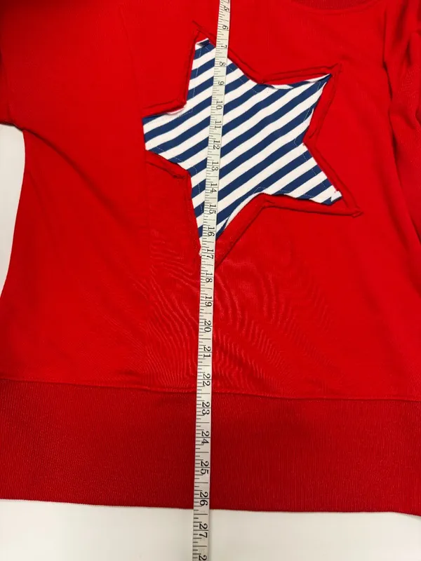 Pink Lily Patch Embroidery Star Colorblock Sweatshirt - Image 11