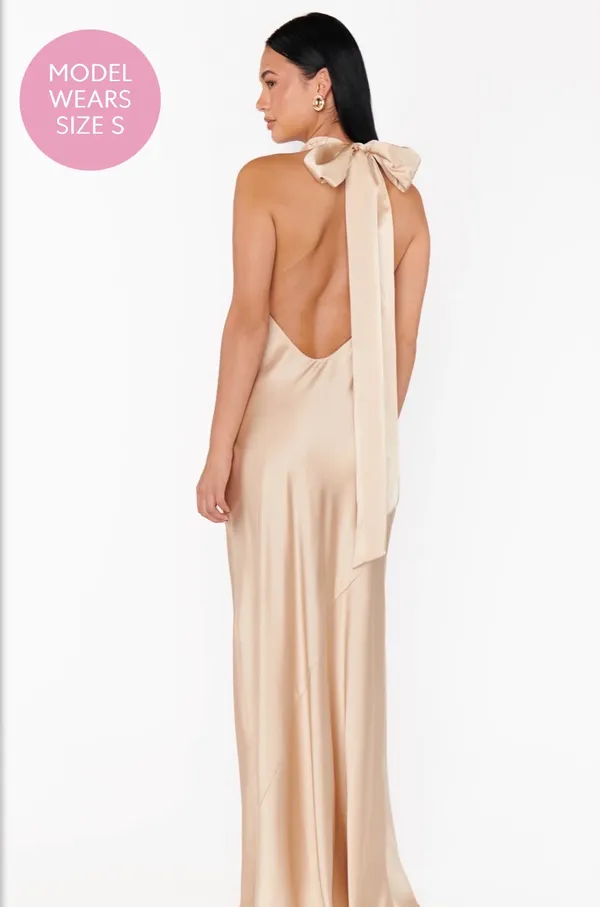 Show me your mumu Lisa Maxi Dress ~ Champagne Luxe Satin S - Image 2