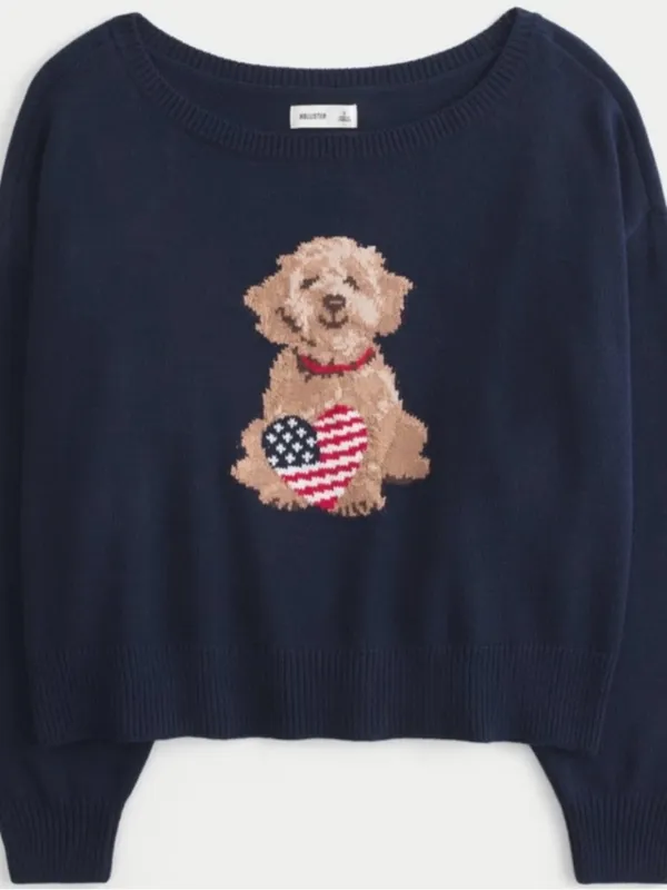 Hollister Easy Off-the-Shoulder Dog Graphic Sweater USA Flag - Image 4