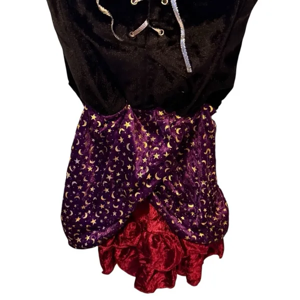 Underwraps Costumes Miss Fortune Halloween Costume Dress - Image 4