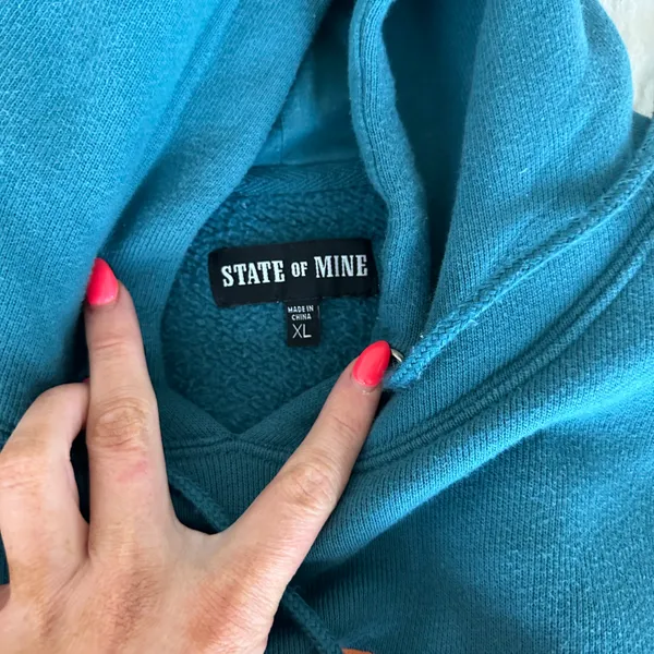 State of Mine Y2K Teal Arizona Hoodie - Image 3
