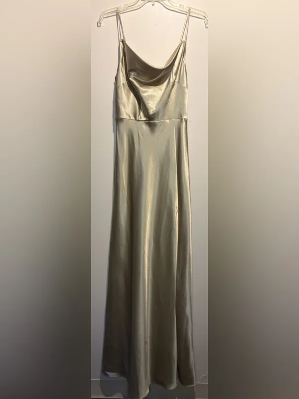 Birdy Grey NWT Lisa Long Shiny Satin Dress Neutral Champagne Size M - Image 3