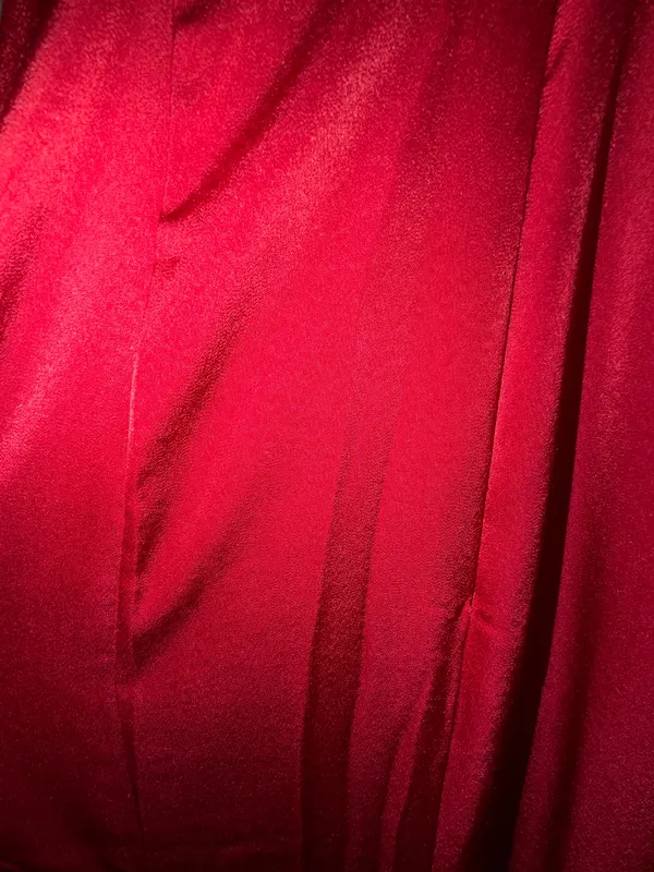 Alyce Paris 62062 style Red Prom dress - Image 3