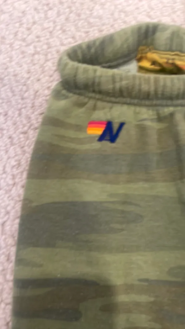 Aviator Nation Sweatpants - Image 2