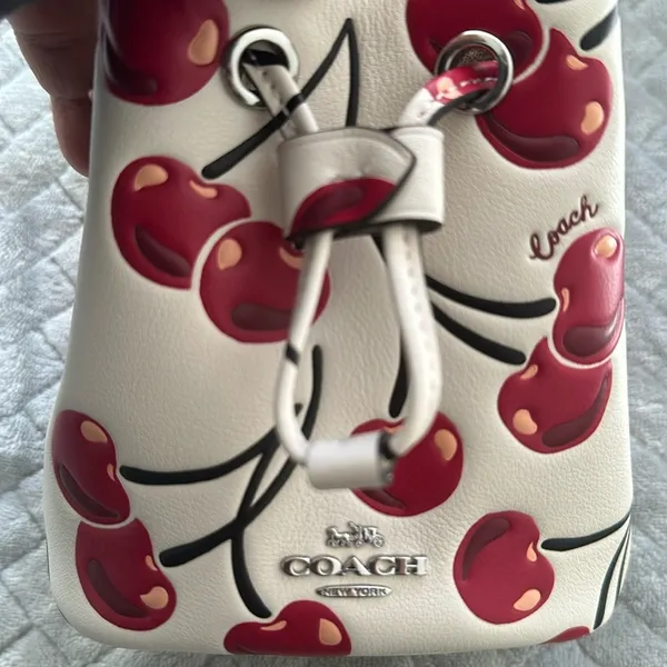 Coach Drawstring Wristlet With Cherry Print - Novelty Leather/Silver/Chalk Multi - Image 5