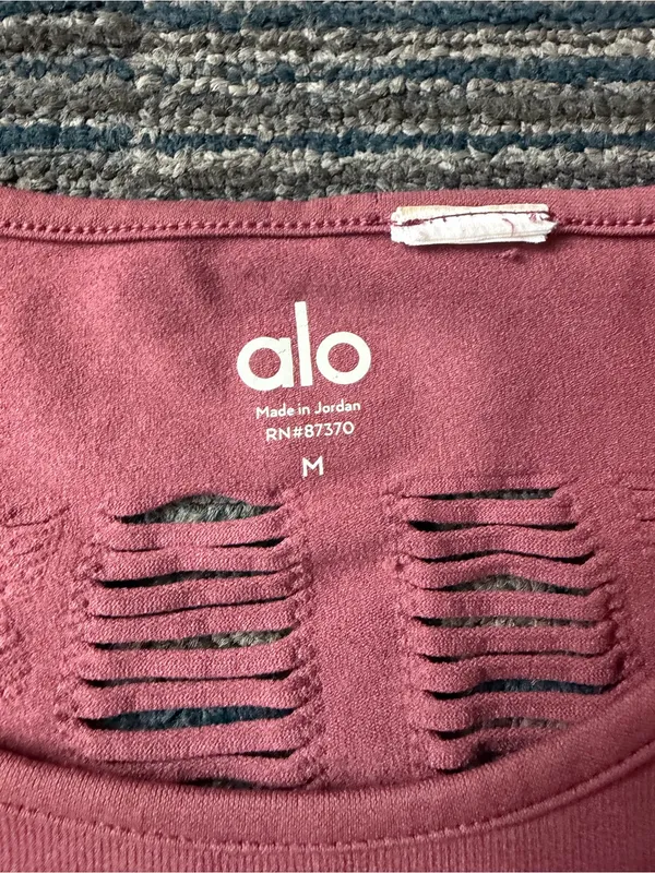 Alo Yoga Wanderer Brave Elements Long Sleeve Top M Dusty Rose Cutout - Image 5