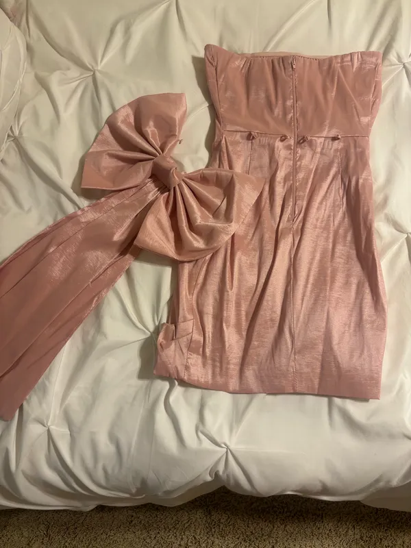 Dillards, Mini, Formal Dress,Light Pink, Worn Once,XS - Image 3