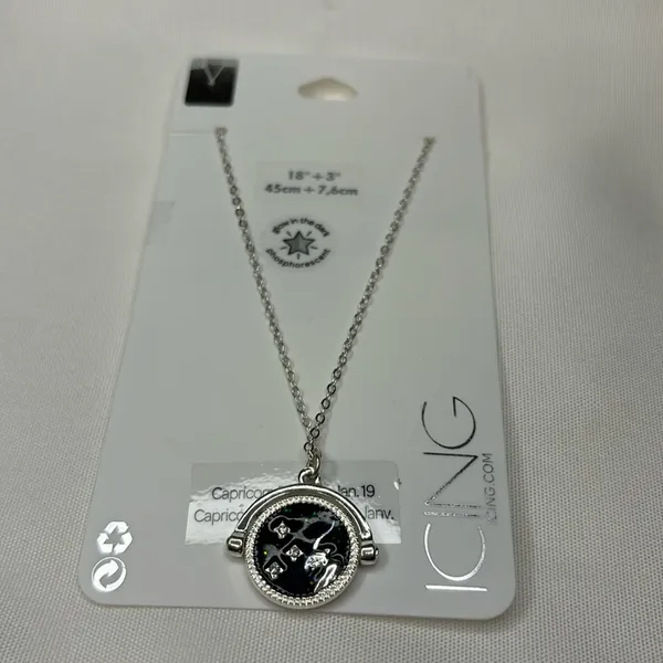 Icing Glow In The Dark Zodiac Spinning Pendant Necklace Capricorn Silver - Image 2