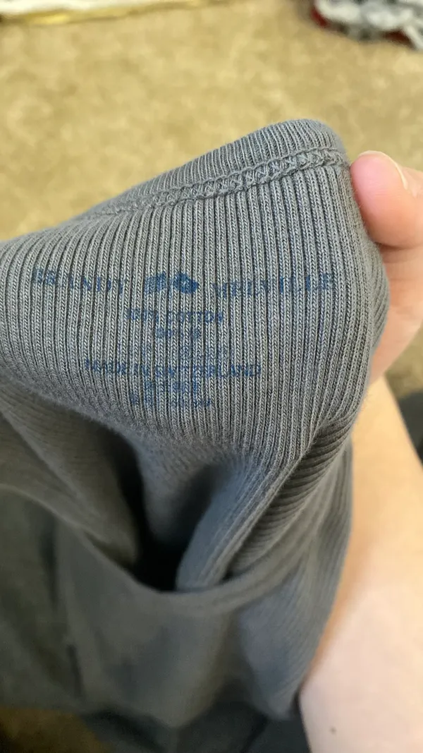 Brandy Melville Tank Top Grey Ribbed Crop - Image 3