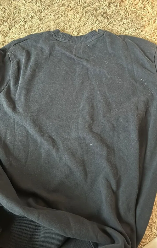 Champion Sweatshirt - Image 6