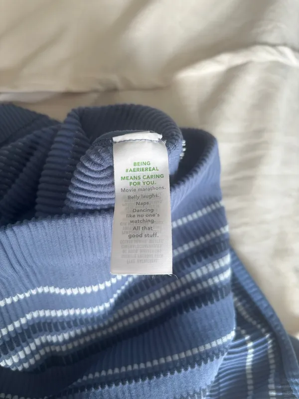 Blue Striped Aerie Cropped Tank - Image 4