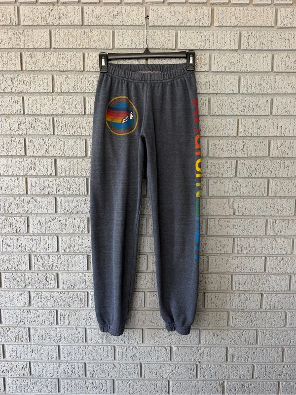 Aviator Nation Venice Sweatpants Charcoal Grey Rainbow Logo Size XS - Image 4