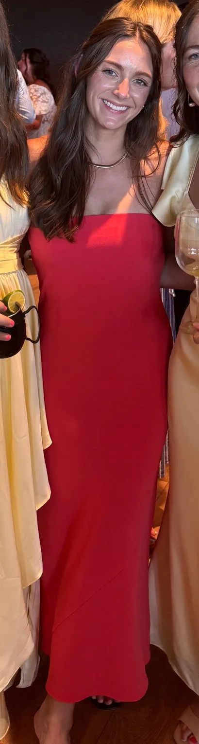 Aritzia Babaton Dress - Image 4