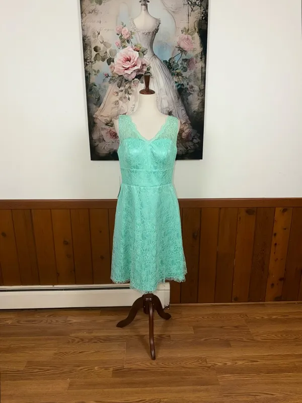 Beautiful New Azazie Alma Lace Fit-and-Flare Dress - Image 3