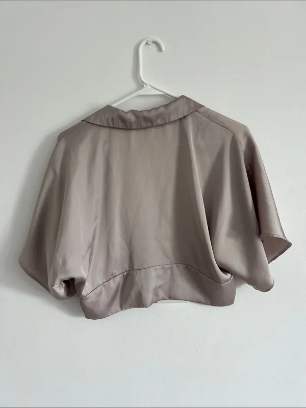 Zara Neutral Taupe Satin Cropped V-Neck Blouse - Image 3