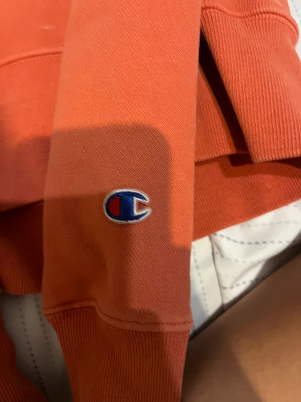 Champion Hoddie - Image 4