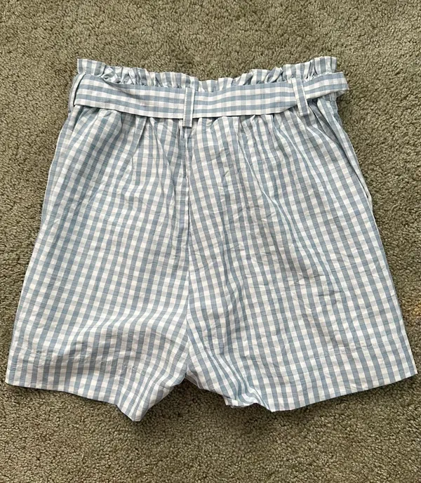 PacSun Blue Gingham Shorts - Image 2