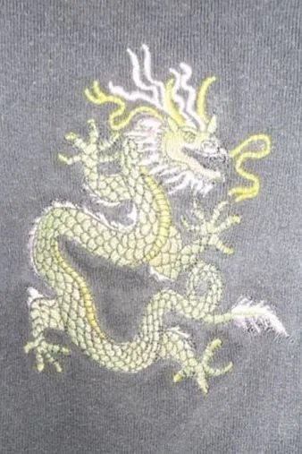 Brandy Melville Connor Dragon Embroidered Crop Tank Top - Image 2