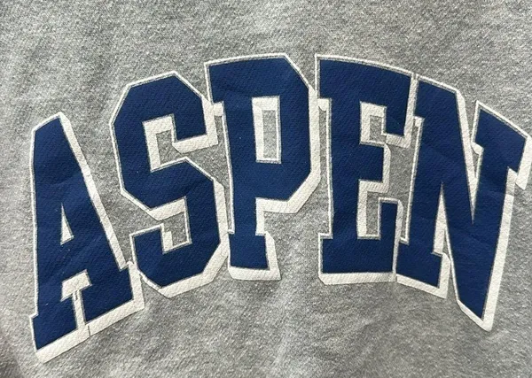 Brandy Melville Aspen crewneck - Image 4