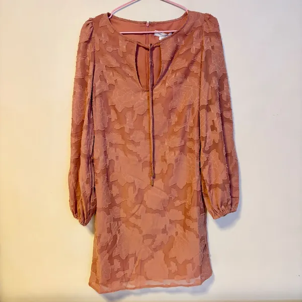 Belle & Bloom Kiss the Stars Puff Long Sleeve Mini Dress Floral Rose Womens XS - Image 6