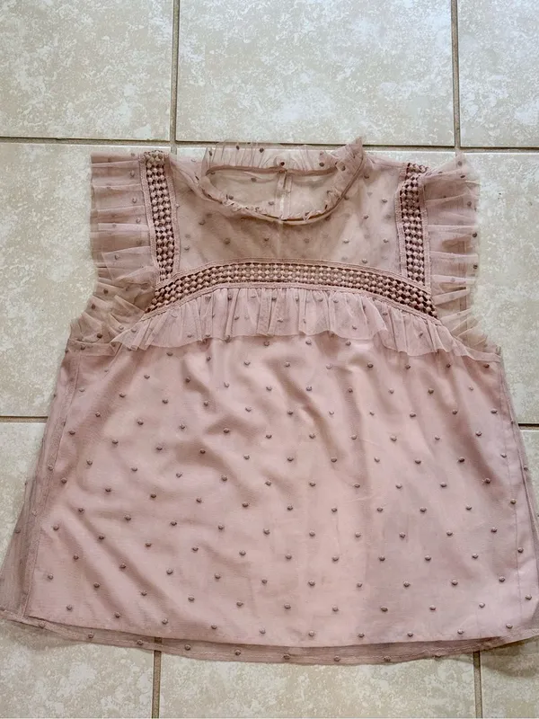 BB Dakota Roslyn Swiss Dot Victorian Blouse Champagne Pink Blush Shirt Medium - Image 3