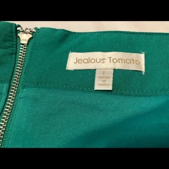 Jealous Tomato Aztec Embroidered Skirt - Large - Image 3