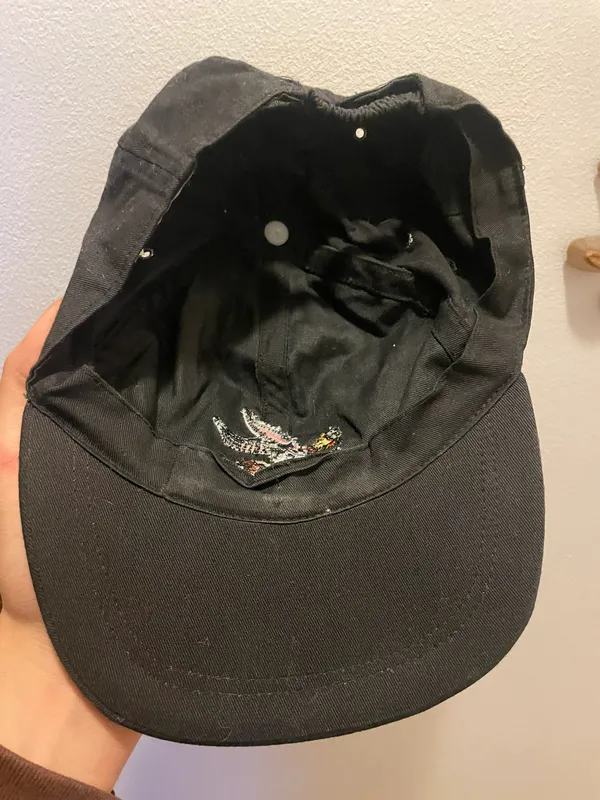 Looney Tunes Vintage 90s taz & Tweety Bird Snapback Hat Black , Clean - Image 4