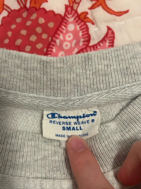 Wisconsin Champion Crewneck - Image 2