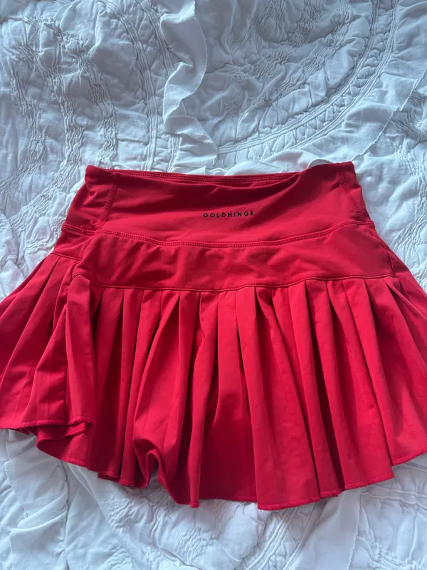 Gold Hinge Skirt - Image 2