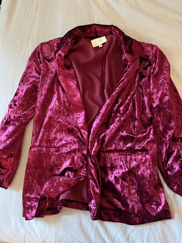 Skies Are Blue Velvet Blazer - Image 2