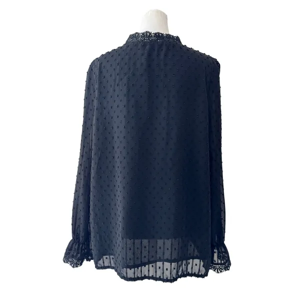 Black Semi-Sheer Swiss Dot V-Neck Relaxed Fit Long Sleeve Blouse - Image 5