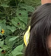 Amazon Lemon Claw Clip - Image 3