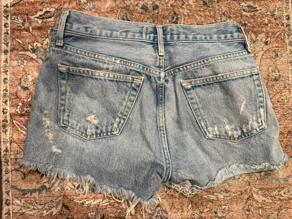 AGOLDE Jean Shorts Distressed High-Rise Button Fly Frayed Blue 24 - Image 2