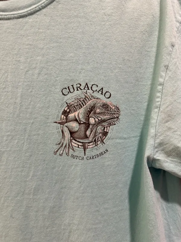 Comfort Colors Curaçao Short Sleeve Tee Greenish Blue - Image 3