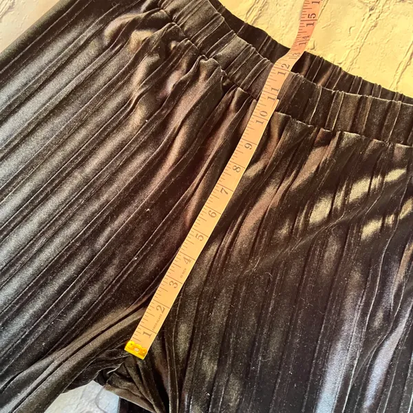 Cable & Gauge Velvet Black Whimsigoth Pull on Pants Large Gothic Pleated Holiday - Image 8