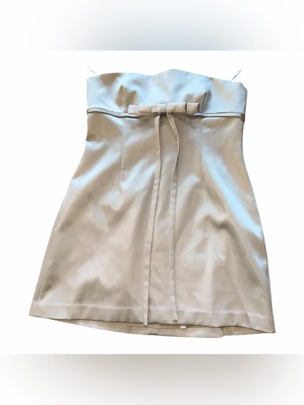 NWOT Zara Strapless Pearl Grey/Silver Satin Dress with Bow XXL Bloggers Fave - Image 7
